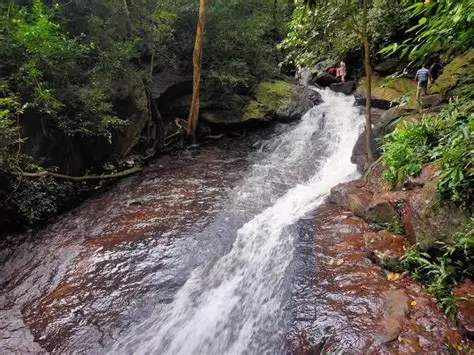 amruthadhara waterfalls