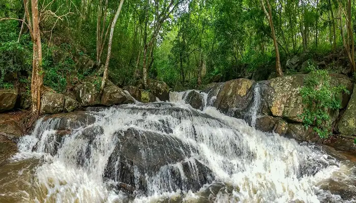 Maredumilli Tourism featuring the scenic Jalatarangini Waterfalls